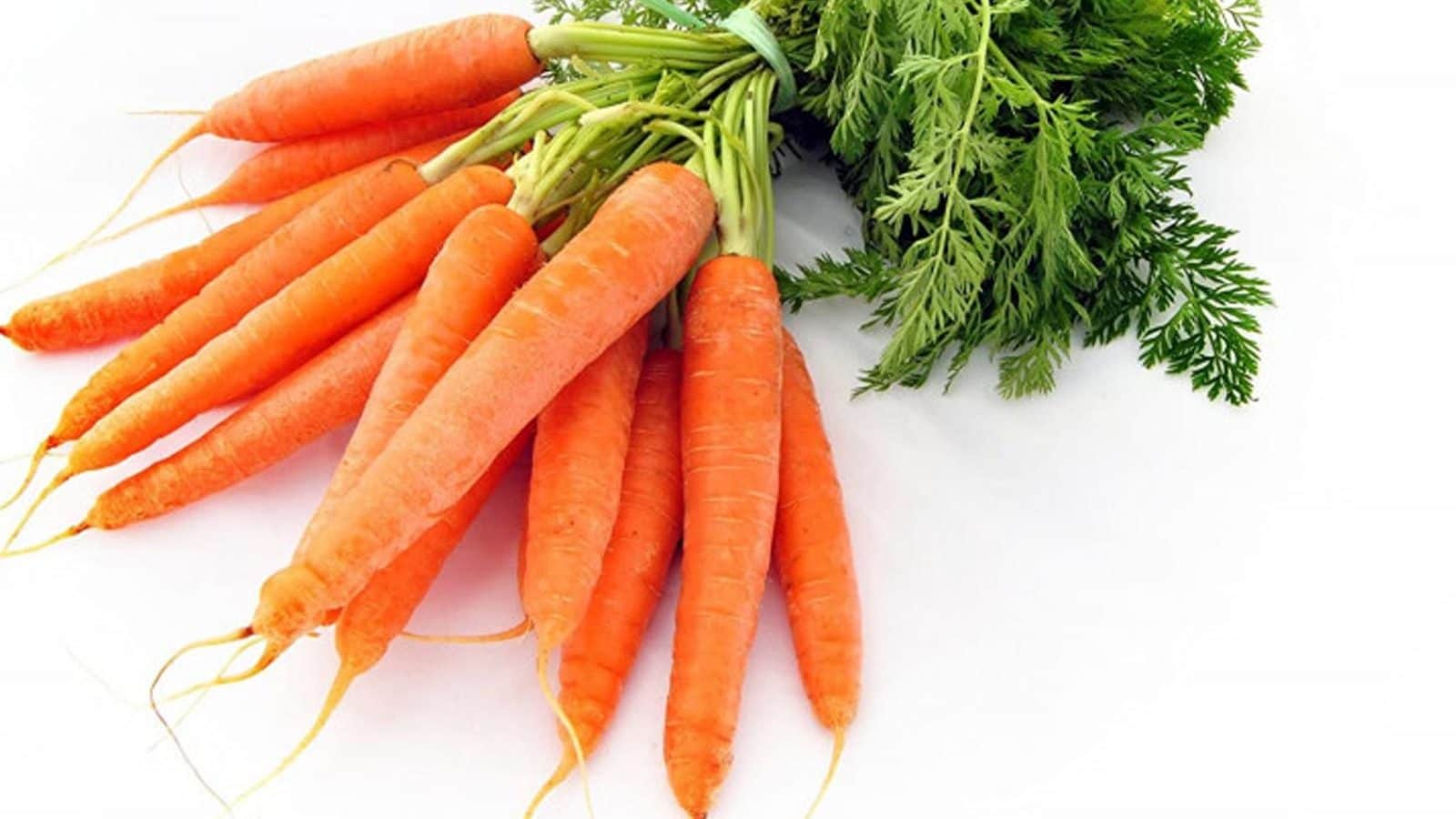 carrot-leaves-benefits