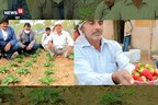गढ़वा : स्ट्रॉबेरी की लालिमा देखें किसान अयोध्या के चेहरे पर, खेती से हो रही मोटी कमाई - See Photos