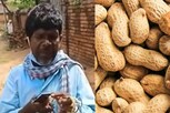 मूंगफली बेचने वाले ने गाया Kacha badam, विदेशी हुए गाने के दिवाने- VIDEO