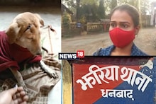 धनबाद: घर में घुसकर कुते को मारने की कोशिश, मेनका गांधी के फोन के बाद थाने में केस दर्ज