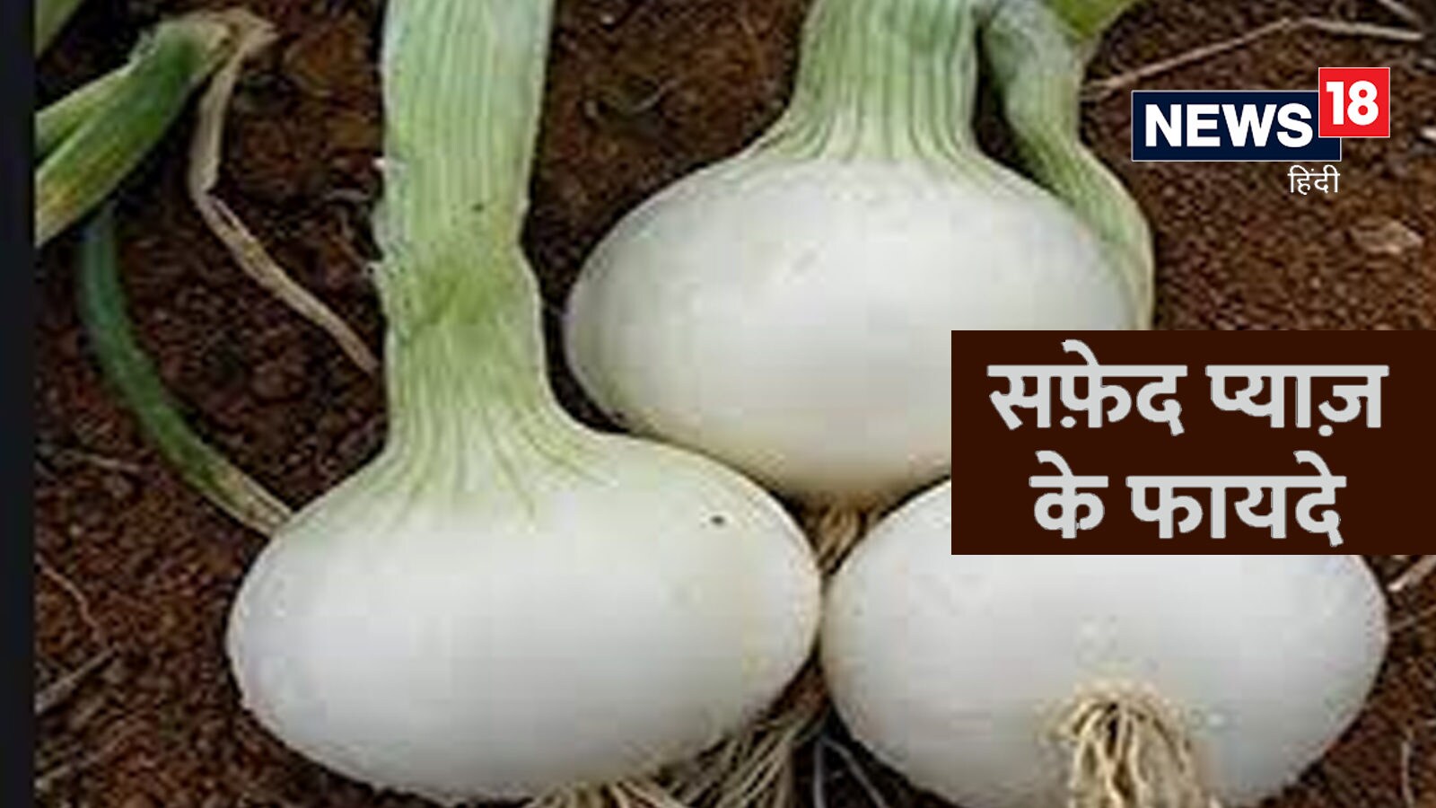 White Onion Benefits लाल प्याज ही नहीं सफेद प्याज भी सेहत को देता है