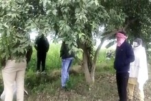 हत्या या आत्महत्या! भिवानी में अमरूद के पेड़ से लटका मिला युवक का शव