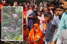 OMG: महाशिवरात्रि से पहले खेत में निकला ज़हरीला कोबरा, पूजा करने के लिए उमड़ी भीड़, महिलाएं गा रही गीत