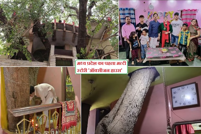 kesharwani family tree house jabalpur, jabalpur tree house, jabalpur oxygen house, motilal kesharwani jabalpur, jabalpur unique house, anokha ghar madhya pradesh, motilal kesharwani home around 123 year old people tree, jabalpur tree house photos, kesharwani family jabalpur tree house photos, Madhya Pradesh's first multi storey oxygen house, jabalpur anokha ghar, oxygen house madhya pradesh, jabalpur news, madhya pradesh news, omg, ajab gajab news, ghar around peepal tree, eco friendly house, eco friendly house in india, eco friendly house design, environmental conservation need, जबलपुर न्यूज, जबलपुर केशरवानी परिवार ट्री हाउस, मध्य प्रदेश का अनोखा घर, एमपी ऑक्सीजन हाउस, जबलपुर अनोखा ट्री हाउस कहां है kesharwani family tree house jabalpur, jabalpur tree house, jabalpur oxygen house, motilal kesharwani jabalpur, jabalpur unique house, anokha ghar madhya pradesh, motilal kesharwani home around 123 year old people tree, jabalpur tree house photos, kesharwani family jabalpur tree house photos, Madhya Pradesh's first multi storey oxygen house, jabalpur anokha ghar, oxygen house madhya pradesh, jabalpur news, madhya pradesh news, omg, ajab gajab news, ghar around peepal tree, eco friendly house, eco friendly house in india, eco friendly house design, environmental conservation need, जबलपुर न्यूज, जबलपुर केशरवानी परिवार ट्री हाउस, मध्य प्रदेश का अनोखा घर, एमपी ऑक्सीजन हाउस, जबलपुर अनोखा ट्री हाउस कहां है