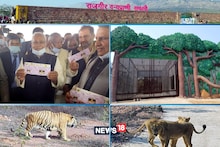 बिहार में गुजरात के शेर की दहाड़ पर बोले नीतीश कुमार- थैंक्यू पीएम मोदी, Watch Video