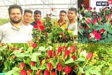 An engineer doing rose cultivation leaving the job of a multinational company, increased earnings on Valentine's Day, know the income