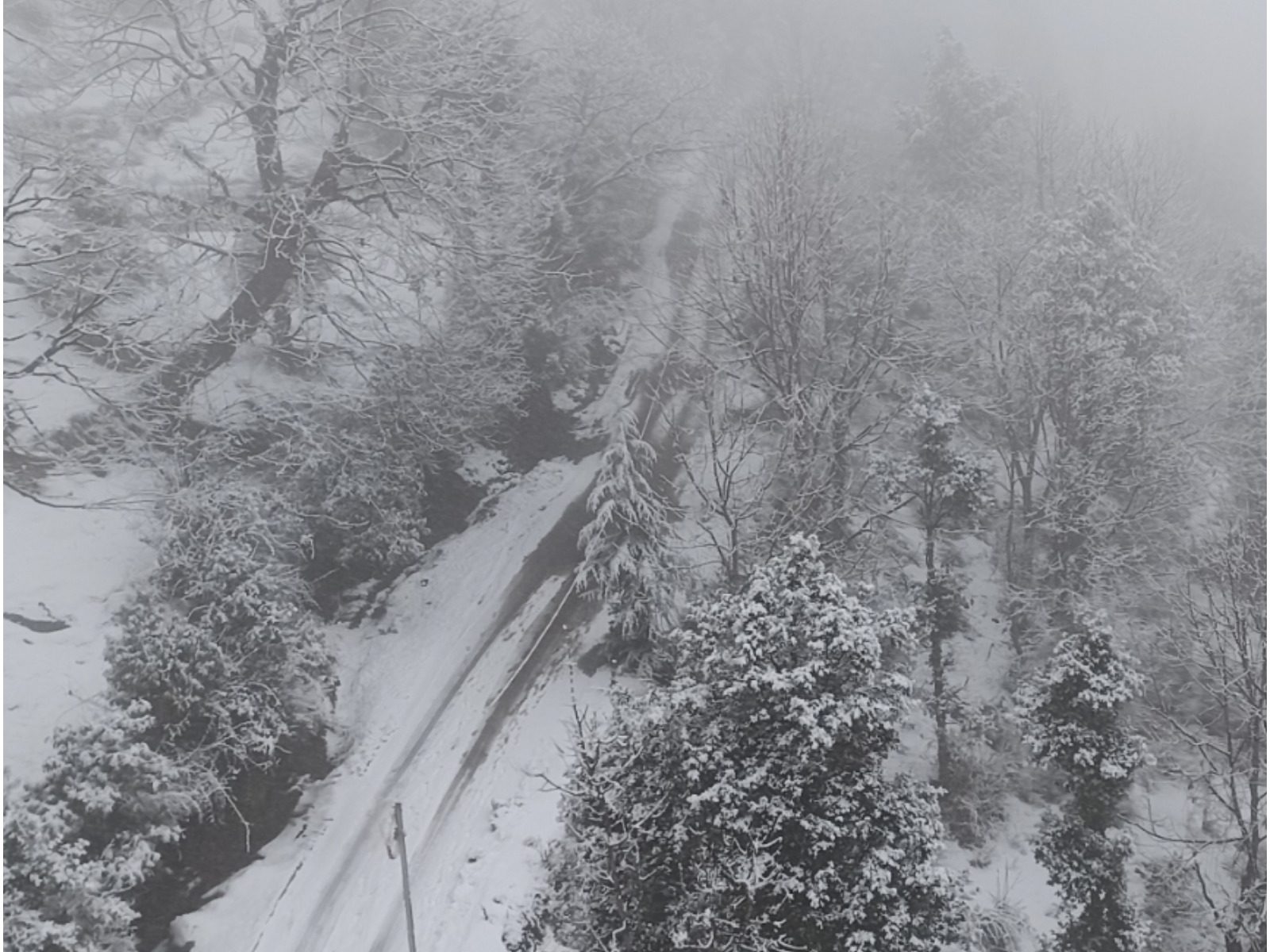 Snowfall in Uttarakhand: चमोली के कई इलाकों में पिछले 24 घंटे से बर्फबारी हो रही है. 
