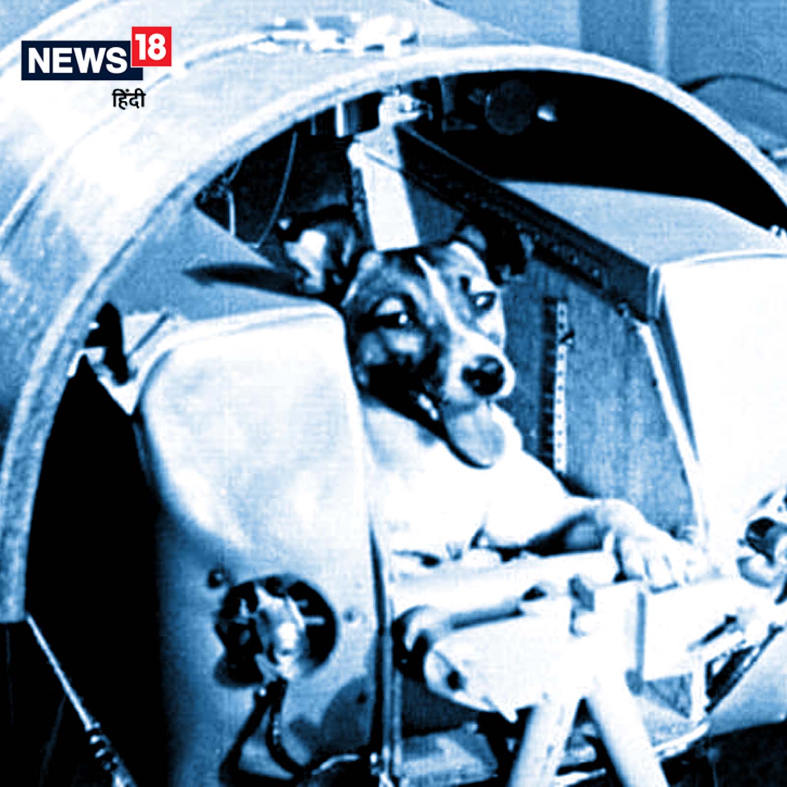 Which animals send in space 5 animals dog cat monkey mouse space astronauts ashas - सिर्फ इंसान ही नहीं, अंतरिक्ष में जा चुके हैं ये 5 जानवर! बंदर से लेकर कुत्ते तक Which animals send in space 5 animals dog cat monkey mouse space astronauts ashas - सिर्फ इंसान ही नहीं, अंतरिक्ष में जा चुके हैं ये 5 जानवर! बंदर से लेकर कुत्ते तक