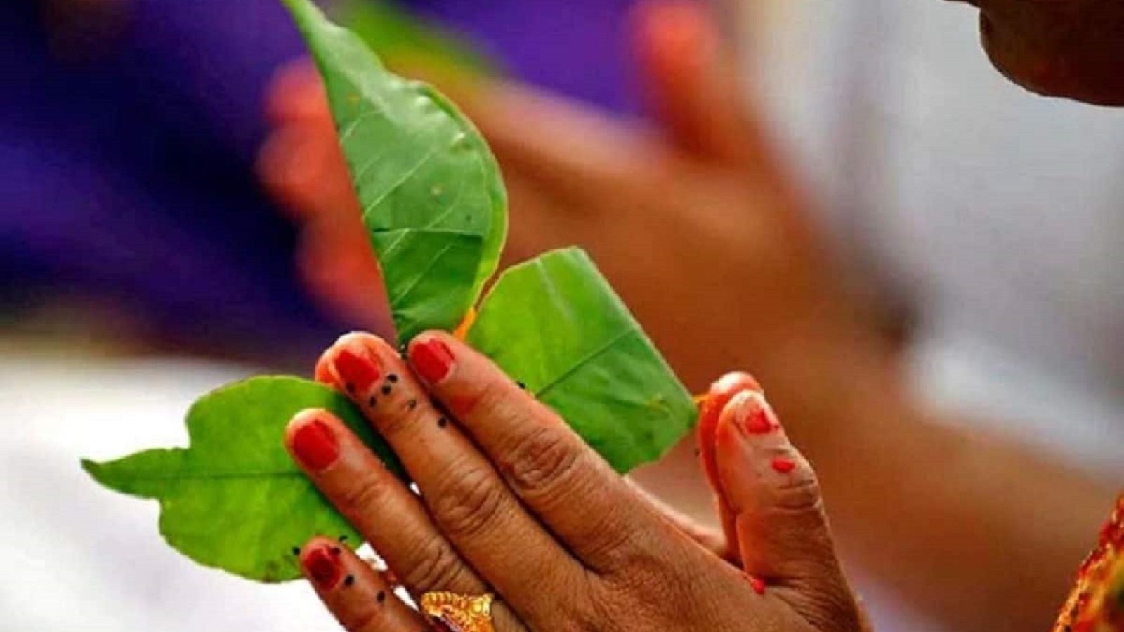 जानें बेल पत्र को तोड़ने और भगवान शिव पर अर्पित करने का सही तरीका