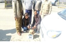 Drugs in Himachal: युवक-युवती कार में ले जा रहे थे 2.4 किलो चरस, पुलिस ने किया गिरफ्तार