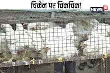 चिकेन पर चिकचिक! IAS अधिकारी के पास पहुंचा मुर्गा बेचने का विवाद, जानें पूरा मामला...