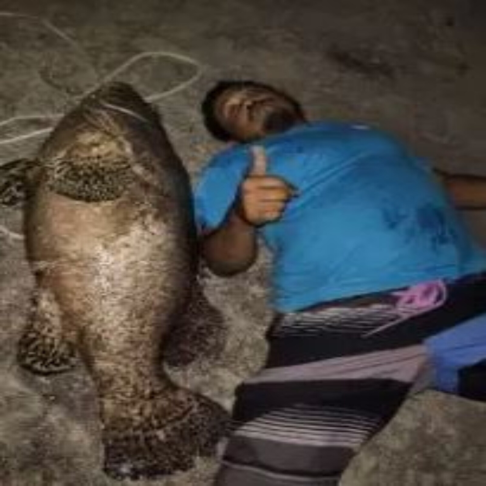 मछुआरे के जाल में फंसी बछड़े के आकार जितनी मछली, झट से बदल गई किस्मत ...