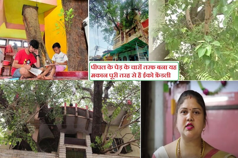kesharwani family tree house jabalpur, jabalpur tree house, jabalpur oxygen house, motilal kesharwani jabalpur, jabalpur unique house, anokha ghar madhya pradesh, motilal kesharwani home around 123 year old people tree, jabalpur tree house photos, kesharwani family jabalpur tree house photos, Madhya Pradesh's first multi storey oxygen house, jabalpur anokha ghar, oxygen house madhya pradesh, jabalpur news, madhya pradesh news, omg, ajab gajab news, ghar around peepal tree, eco friendly house, eco friendly house in india, eco friendly house design, environmental conservation need, जबलपुर न्यूज, जबलपुर केशरवानी परिवार ट्री हाउस, मध्य प्रदेश का अनोखा घर, एमपी ऑक्सीजन हाउस, जबलपुर अनोखा ट्री हाउस कहां है kesharwani family tree house jabalpur, jabalpur tree house, jabalpur oxygen house, motilal kesharwani jabalpur, jabalpur unique house, anokha ghar madhya pradesh, motilal kesharwani home around 123 year old people tree, jabalpur tree house photos, kesharwani family jabalpur tree house photos, Madhya Pradesh's first multi storey oxygen house, jabalpur anokha ghar, oxygen house madhya pradesh, jabalpur news, madhya pradesh news, omg, ajab gajab news, ghar around peepal tree, eco friendly house, eco friendly house in india, eco friendly house design, environmental conservation need, जबलपुर न्यूज, जबलपुर केशरवानी परिवार ट्री हाउस, मध्य प्रदेश का अनोखा घर, एमपी ऑक्सीजन हाउस, जबलपुर अनोखा ट्री हाउस कहां है