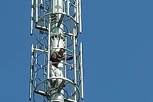 OMG News: पर्चा खारिज हुआ तो मोबाइल टावर पर चढ़ा निर्दलीय प्रत्‍याशी, खूब किया ड्रामा, देखें VIDEO