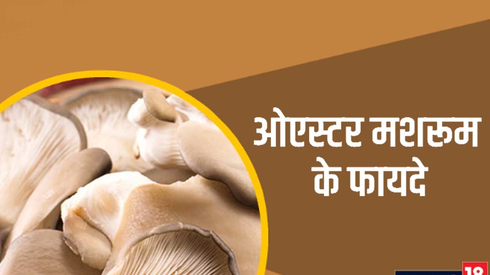 ओएस्टर मशरूम न्‍यूट्रिशन से हैं भरपूर, जानें इसके जबरदस्त फायदे