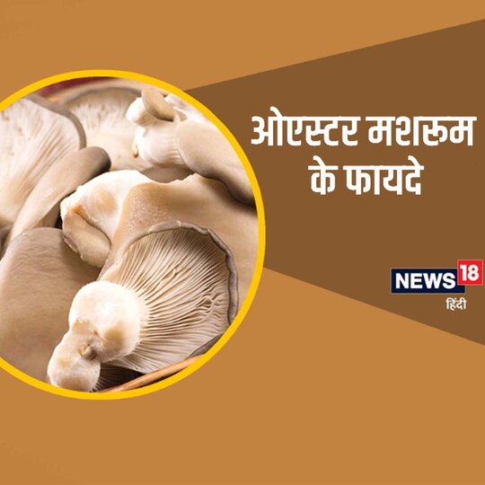 ओएस्टर मशरूम न्‍यूट्रिशन से हैं भरपूर, जानें इसके जबरदस्त फायदे