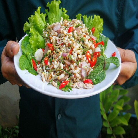 वजन कम करना है तो जरूर खाएं सलाद, होंगे कई अन्य सेहत लाभ