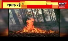 भीषण गर्मी के चलते कई किलोमीटर तक फैली तबाही की आग, आग बुझाने वाला अमला हड़ताल पर
