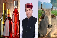 हिमाचल में शराब से पुण्य कमाएगी सरकार, प्रति बोतल गोसेवा सेस बढ़ाने की घोषणा