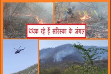 Sariska Tiger Reserve: Efforts are on to extinguish the fire, SDRF personnel also arrived, orders for investigation