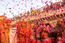 Holi In Vrindavan: वृंदावन में लोगों ने जमकर मनाया होली का जश्न, देखें बांके बिहारी मंदिर का Video