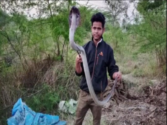 कुछ ग्रामीणों ने तो अपने पड़ोस गांव के लोगों को सांप देखने के लिए फ़ोन कर बुला दिया. फ़िलहाल गांव में दो सांप निकलने से सभी लोग डरे हुए हैं. 