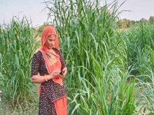 राजस्थान की ग्रामीण महिलाएं कर रहीं खेती में कमाल, रोजगार से साथ बढ़ा रहीं आय