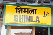Shimla MC Elections: रोस्टर जारी, 21 सीटों पर केवल महिलाएं लड़ेंगी चुनाव