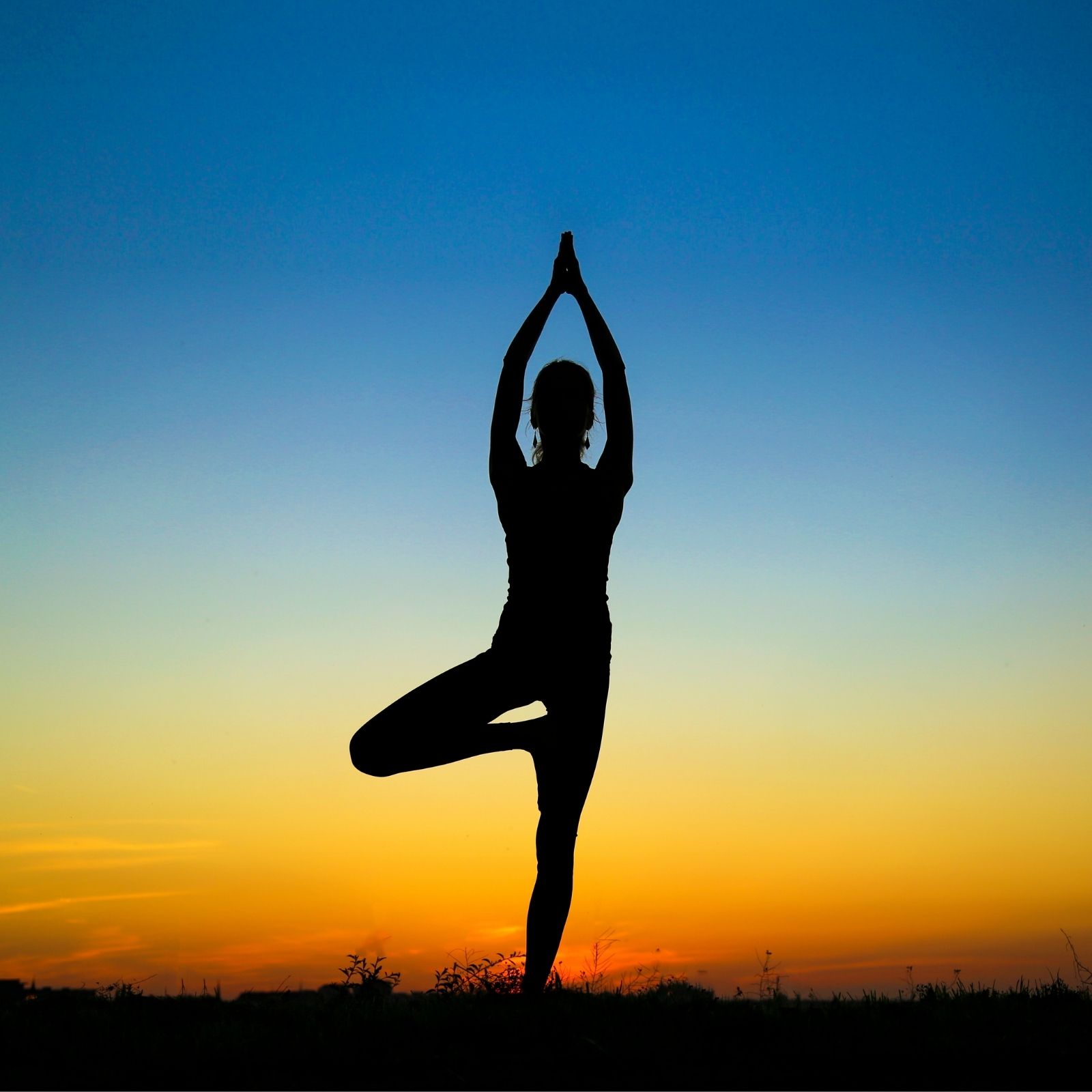Transform Your Practice with Ekam Yoga's Online Yoga Sessions