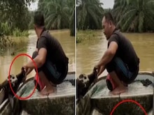 बाढ़ में फंसी गौ माता के लिए मसीहा बना शख्स, नाव में बिठा पार करवाई उफनती नदी