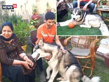 हरियाणाः कुत्ते को रोहतक भेजा, दोस्त की मदद के लिए यूक्रेन में रुका साहिल