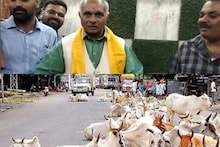 योगी सरकार में मंत्री धर्मपाल सिंह बोले- BJP कार्यकर्ता छुट्टा गायों का गोबर उठाएंगे और दूध पिएंगे!