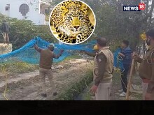 Meerut में जाल तोड़कर सड़क की तरफ भागा खूंखार तेंदुआ, दहशत में कई परिवार