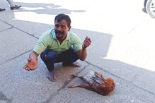 मरा हुआ मुर्गा लेकर Mini Secretariat क्यों पहुंच गया ये शख्स, देखें Video