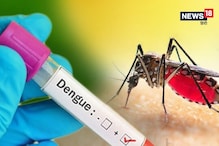 द‍िल्‍ली में पैर पसार रहा डेंगू व मले‍र‍िया, अब तक र‍िकॉर्ड क‍िए इतने मामले!