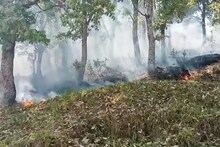 उत्तराखंड के जंगलों पर गर्मी का सितम, पिथौरागढ़ में आग से लाखों की वन संपदा खाक