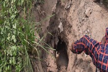 अनोखी घटनाः सुपौल के बाद अररिया में भी कब्र से गायब होने लगी लाशें, गांव में फैली दहशत