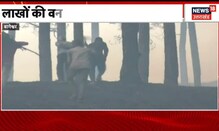 Bageshwar News: जंगलों में आग पर लापरवाह वन विभाग, लाखों की वन संपदा का नुकसान | Latest News