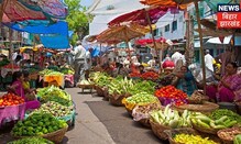 Vegetable Markets के ताजा बजार भाव, जानिए पूरी जानकारी | Annadata