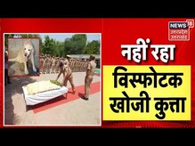 UP News : Moradabad में UP Police के बहादुर Dog को दी गई अंतिम विदाई | Latest News
