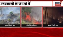Uttarakhand Forest Fire : जंगलों में धधकती आग का जिम्मेदार कौन? | Uttarakhand News