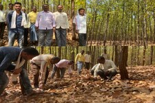 Positive News : जहां ठूंठ थे अब वहां है जंगल, पेड़ काटने पर 10 हजार रुपये फाइन