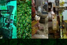 Fake spicy spices were being made from the stalks of plants, 8 quintals of goods were found when the factory was raided