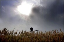 किसान यूनियन का दावा- पंजाब में इस महीने अब तक 14 किसानों ने की आत्महत्या
