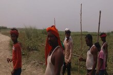 2 शावकों के साथ आजाद घूम रही बाघिन, किसान बोले- डर से फसल काटने नहीं आ रहे मजदूर