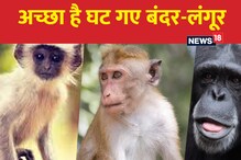 Good News: उत्तराखंड में लंगूर और बंदर एक चौथाई घटकर रह गए डेढ़ लाख...