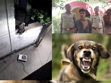 लखीमपुर खीरी में स्ट्रीट डॉग की मदद से दबोचा गया AC चोर, देखें VIDEO