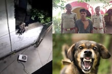 लखीमपुर खीरी में जांबाज स्ट्रीट डॉग की मदद से दबोचा गया AC चोर, देखें VIDEO