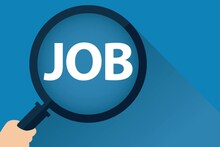 Govt Jobs 2022 : यूपी, बिहार और राजस्थान में 50 हजार से अधिक नौकरियां, इस तारीख तक करना है आवेदन