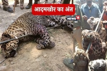 ऑपरेशन आदमखोर: टिहरी में शूटरों का निशाना बना गुलदार, पर उत्तरकाशी में दहशत अभी बरकरार